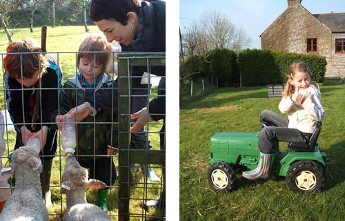 fun at higher lank farm toddler holidays, bodmin