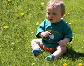 farm holidays in cornwall for families with toddlers and young children