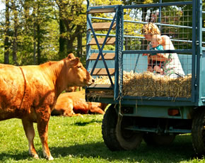 child friendly farm holidays in cornwall